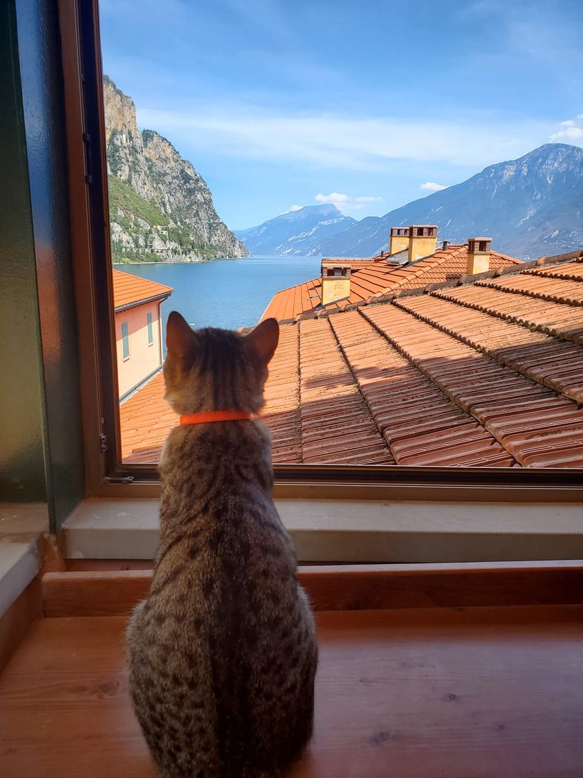 View From The Window Of My Father’s Home Campione Del Garda Garda Lake, Italy