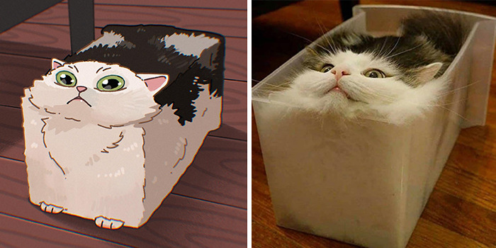 31 Hilarious Cat Pictures Get A Cute Makeover By This Illustrator