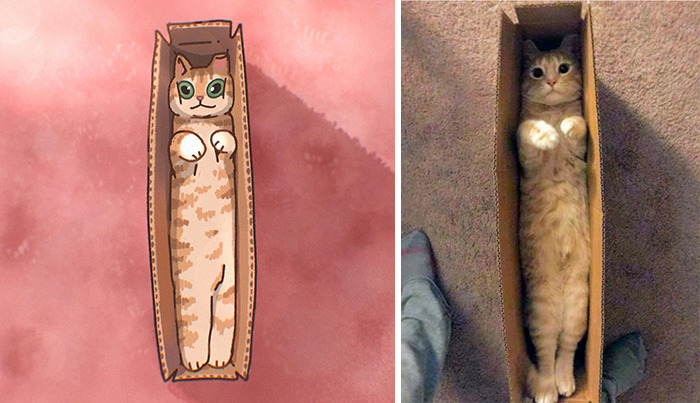 31 Hilarious Cat Pictures Get A Cute Makeover By This Illustrator