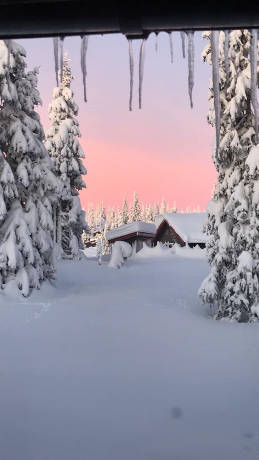 View From My Kitchen Window At My Cabin In Sjusjøen, Norway