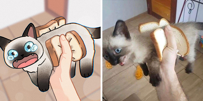 31 Hilarious Cat Pictures Get A Cute Makeover By This Illustrator