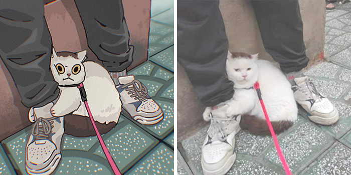 31 Hilarious Cat Pictures Get A Cute Makeover By This Illustrator