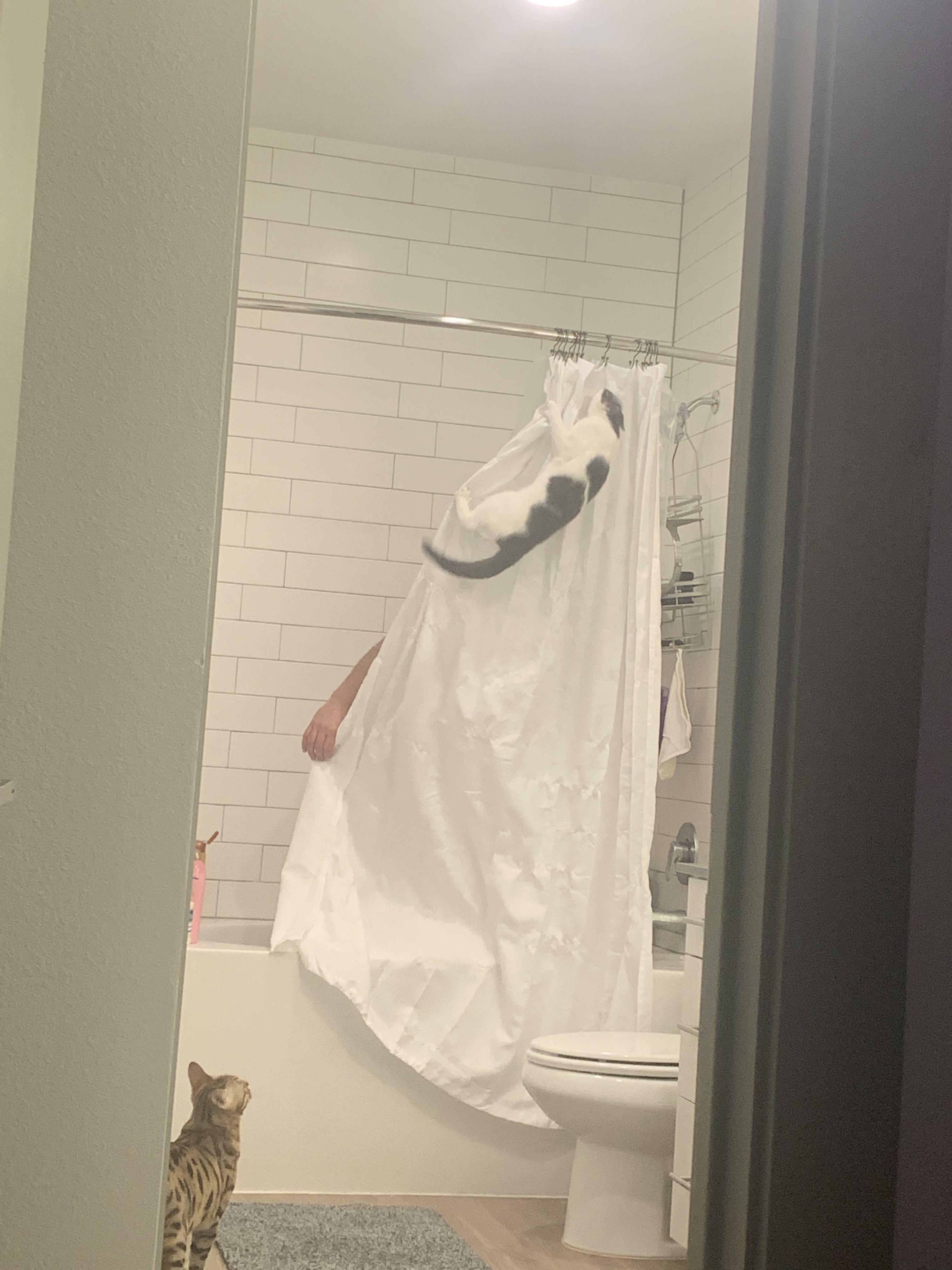 Heard My Husband Screaming While In The Shower..walked In On This