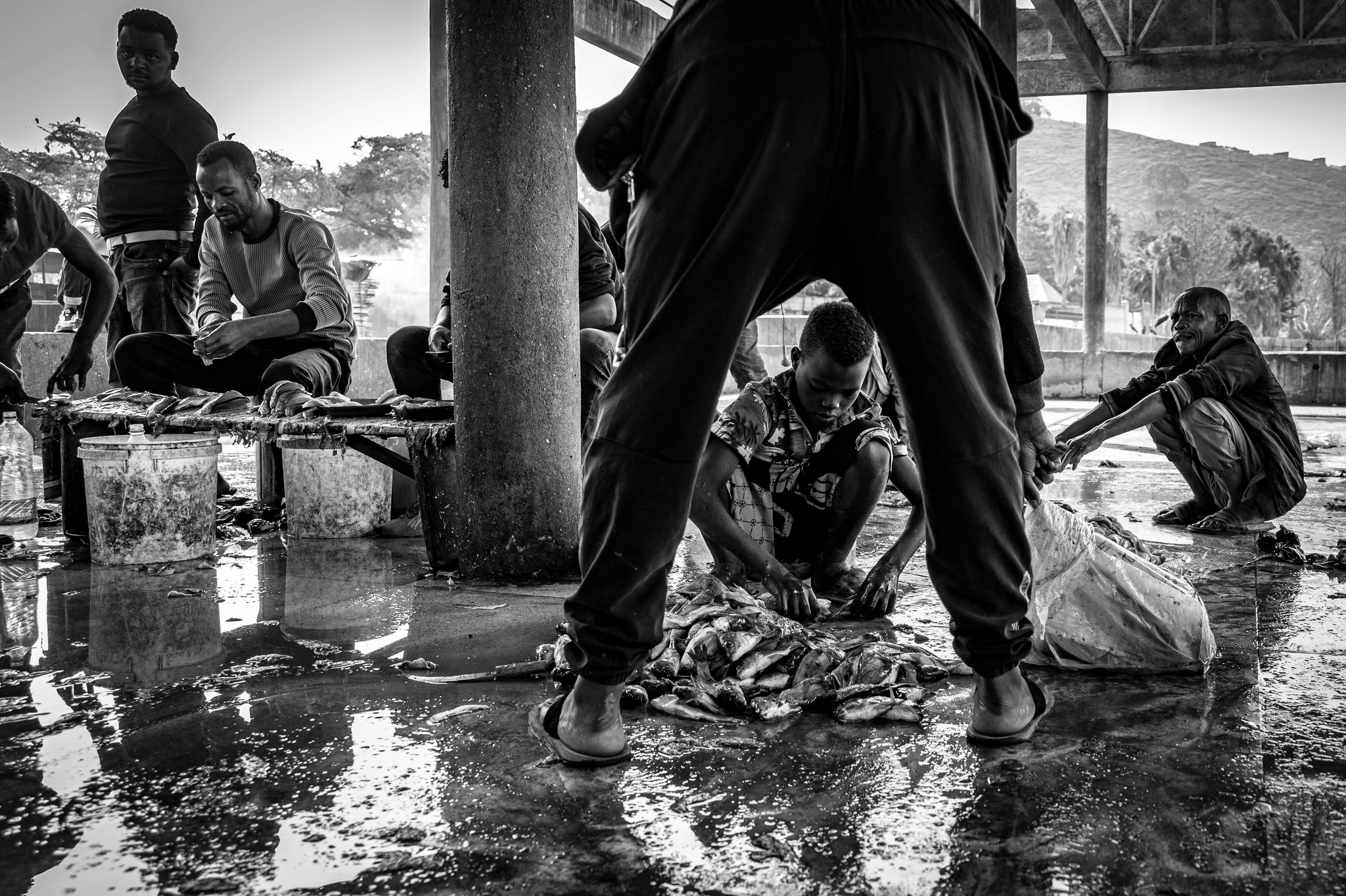 Hawassa | Fish Market