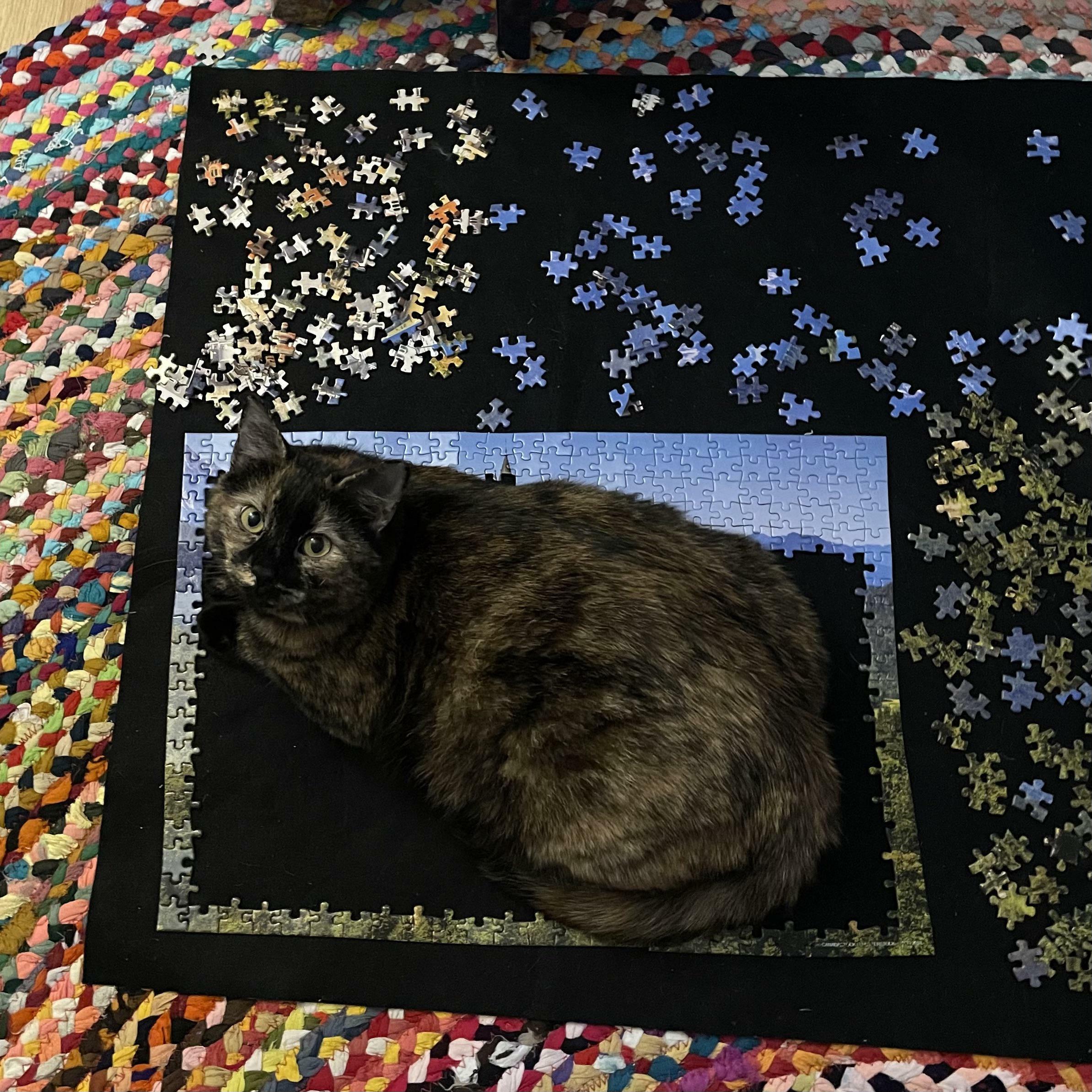 J’ai travaillé sur un puzzle et je viens de terminer la bordure….. J’imagine qu’elle sert aussi de piège à chat 🤷🏼‍♂️