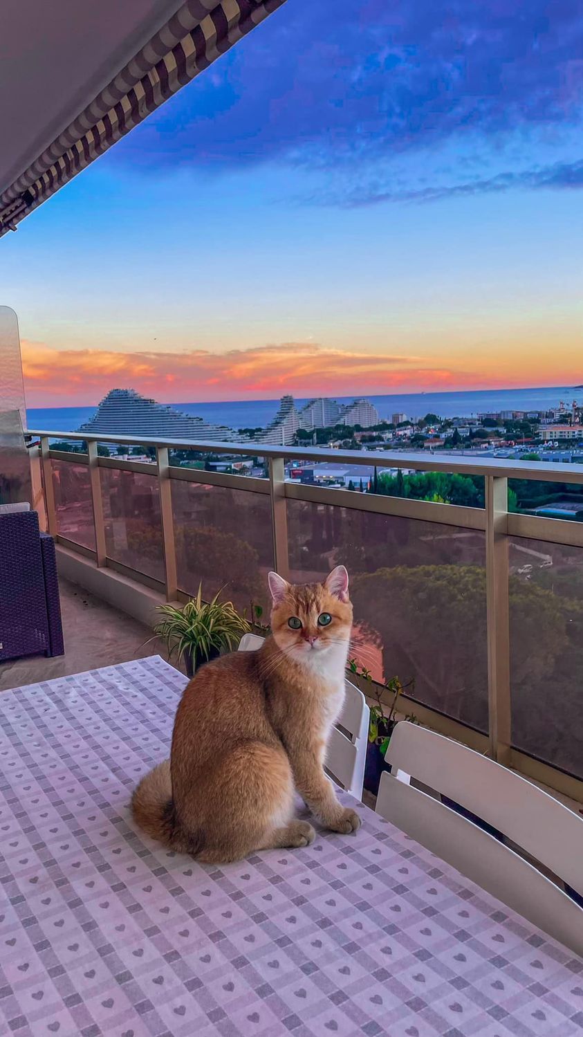 Our View From Villeneuve Loubet (French Riviera), France