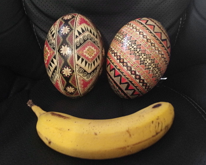 My Father’s Ukrainian Easter Eggs Are Made From Emu Eggs. Banana For Scale