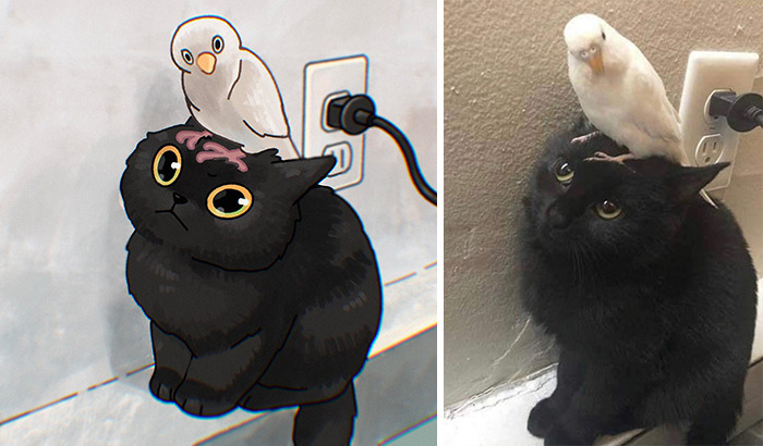 31 Hilarious Cat Pictures Get A Cute Makeover By This Illustrator