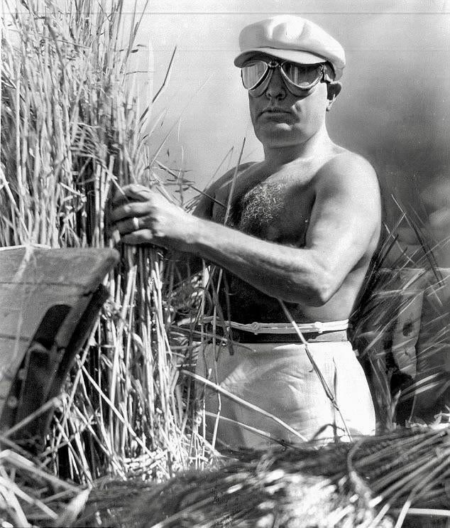 A Shirtless Benito Mussolini Harvesting Wheat In Aprilla In 1938