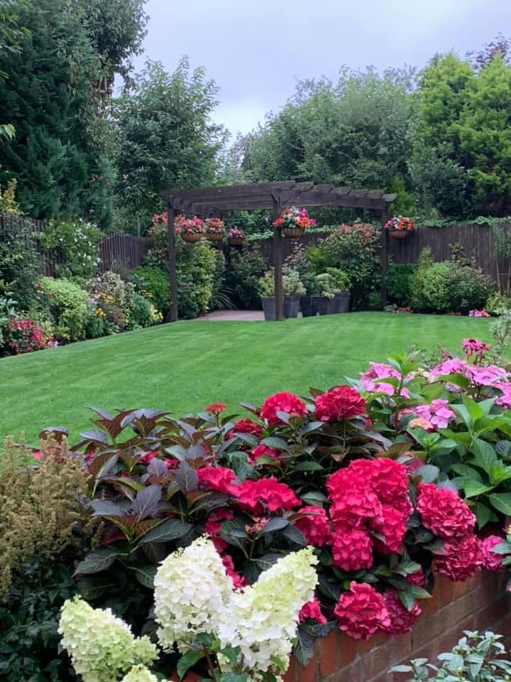 View Of Garden From My Kitchen Window. UK