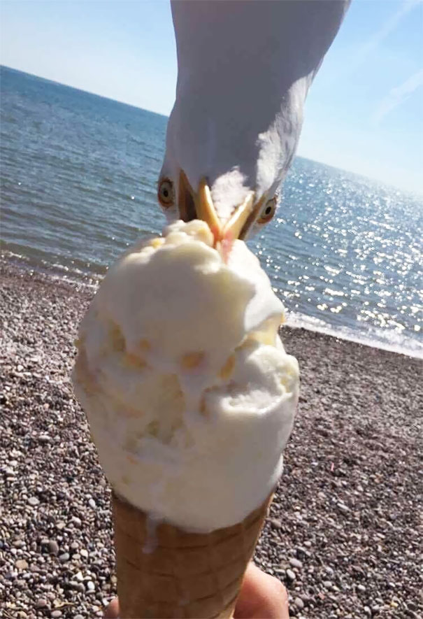 Just A Pic That My Friend Took Down At The Beach The Other Day