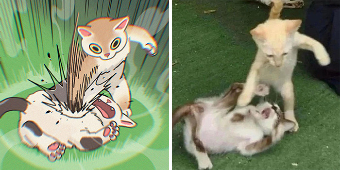 31 Hilarious Cat Pictures Get A Cute Makeover By This Illustrator