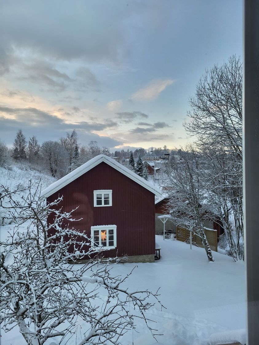 View From My Library Window In Snåsa, Rural Norway. We Have About 4 Hours Daylight This Time Of Year, And The Cold Winter Light Makes Everything Beautiful – I Think