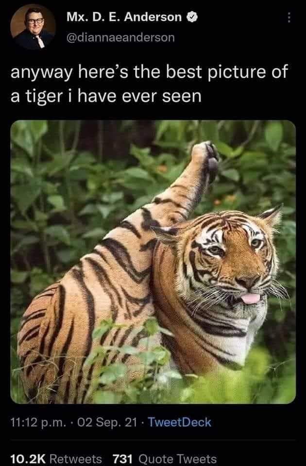 Le tigre est orange