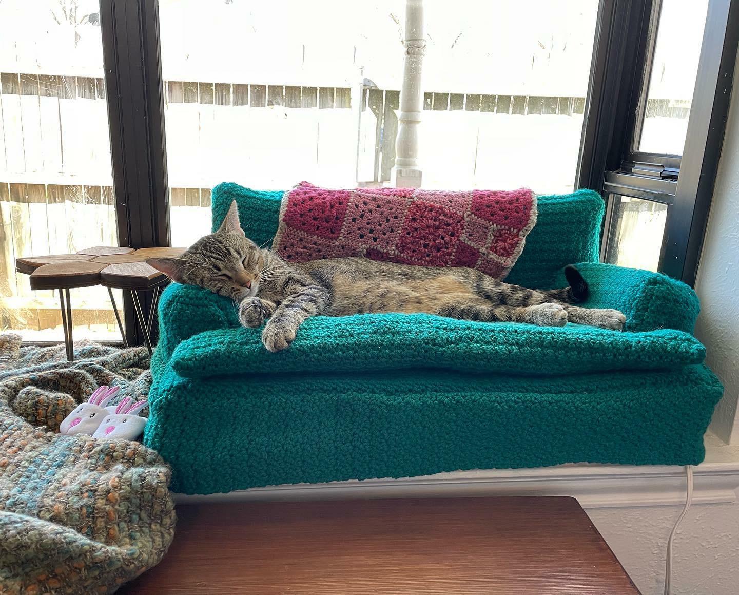 J’ai crocheté et fabriqué ce canapé chauffant pour chat, et je travaille sur un deuxième pour avoir un ensemble assorti. hi ! meet ripley :)