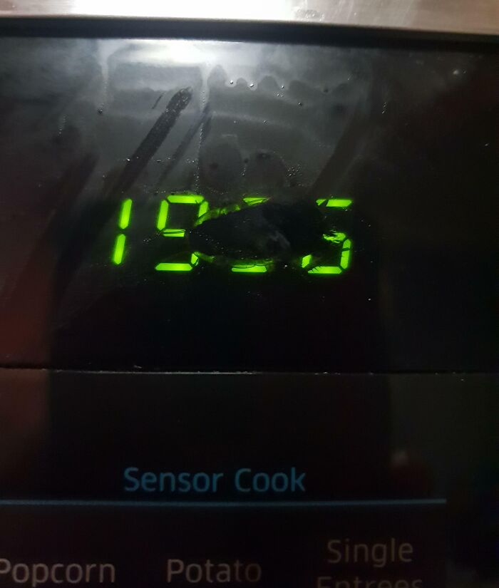 Tu pensais que l’horloge de mon micro-ondes était défectueuse, il s’avère qu’il y a un cafard coincé dedans.