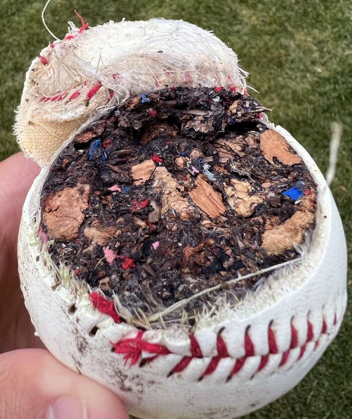 J’ai accidentellement ouvert une balle de baseball bon marché pour enfant avec ma tondeuse à gazon.