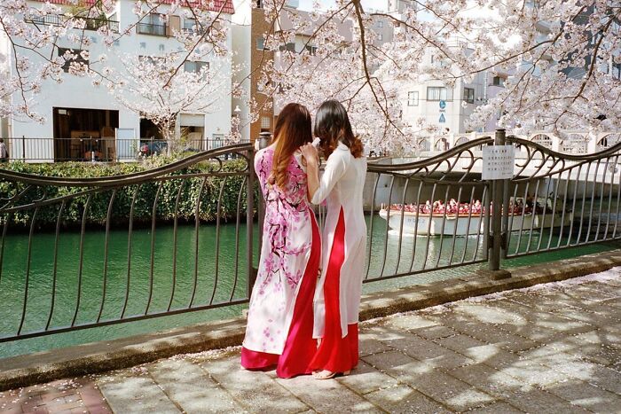 40 nouvelles photos qui montrent à quoi ressemble la vie quotidienne au Japon par le photographe shin noguchi