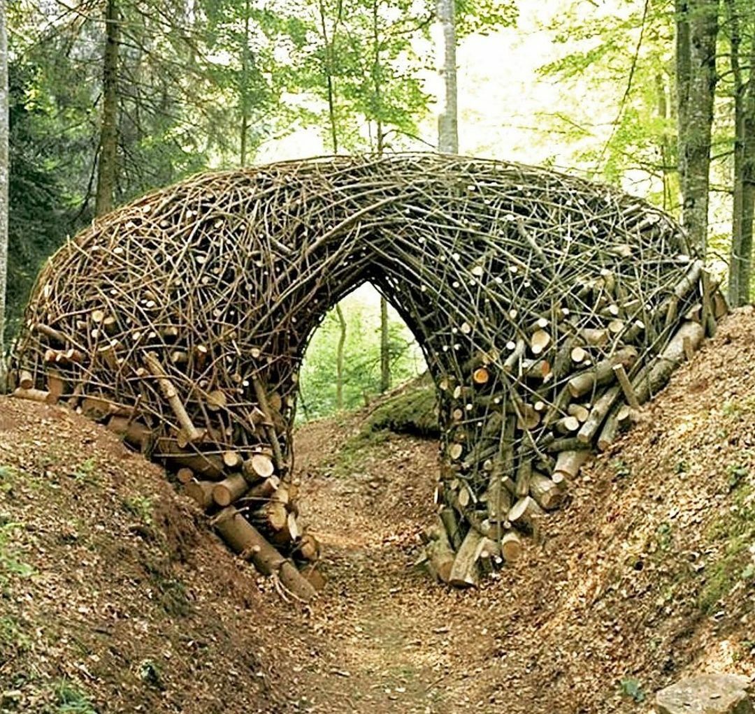 sculptures de branches par bob verschueren