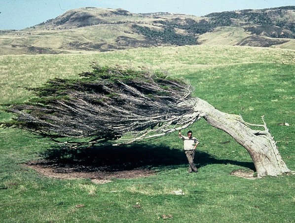 slope point est le point le plus au sud de l’île sud de la nouvelle zélande