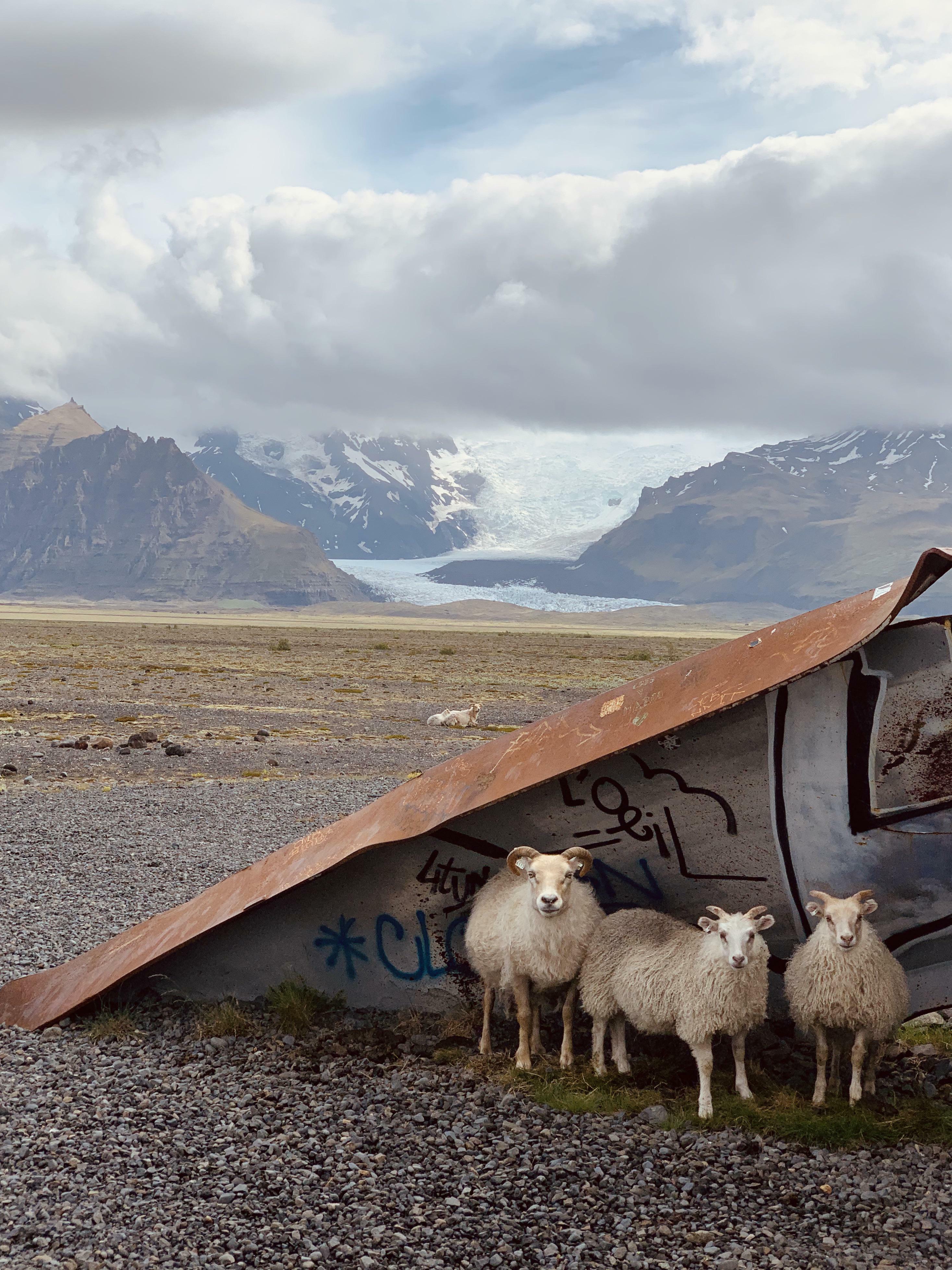 Nous avons voyagé en Islande parce que nous ne pouvions pas aller ailleurs. Nous avons trouvé ces gars qui s'abritaient du vent.