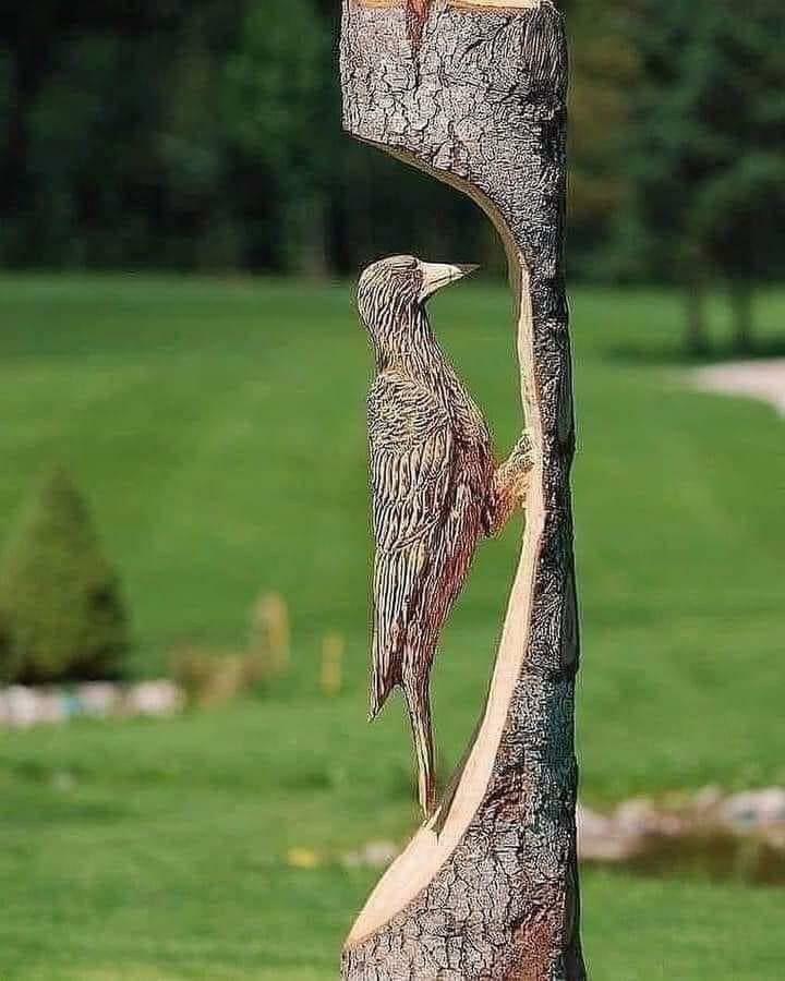 sculpture sur bois de pivert