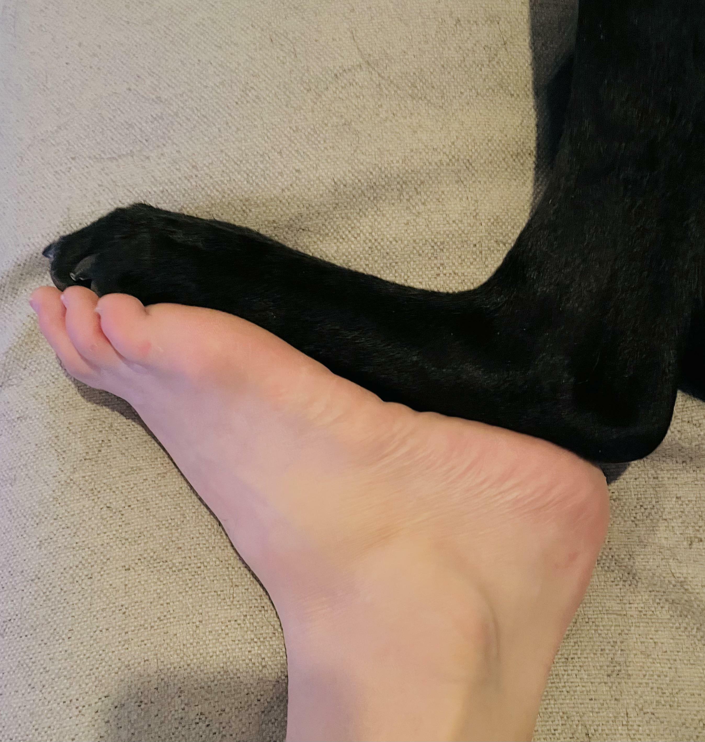 mon chien et moi avons la même taille de pied