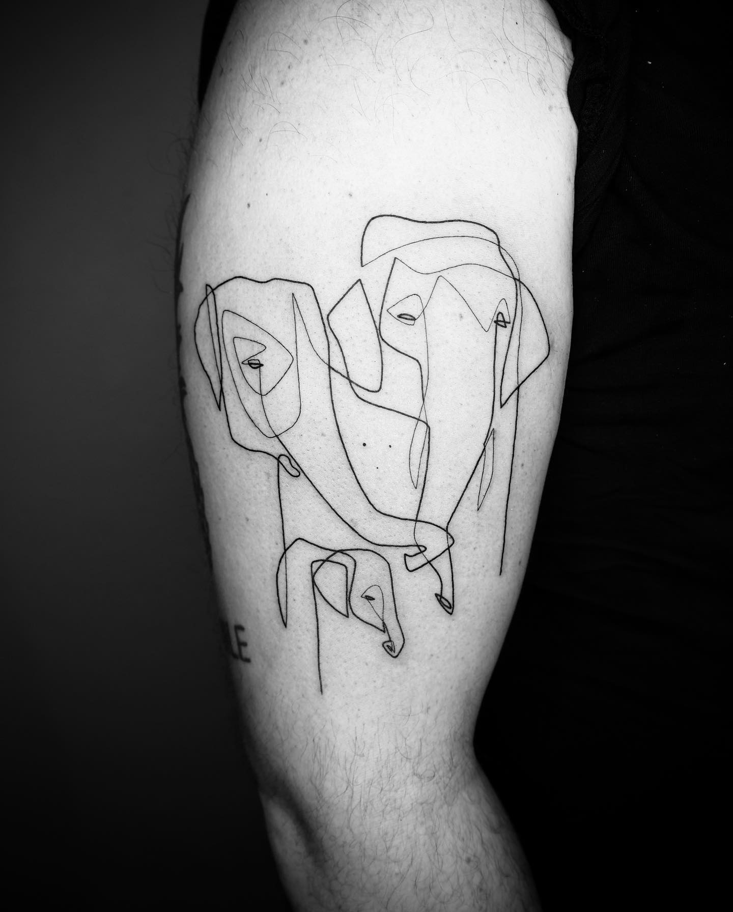 Cet artiste crée des tatouages captivants à l’aide d’une seule ligne (35 images)