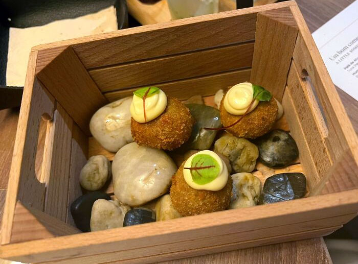 croquette dans une boîte au milieu des rochers