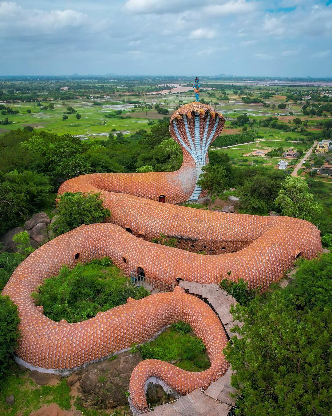 temple du serpent en inde