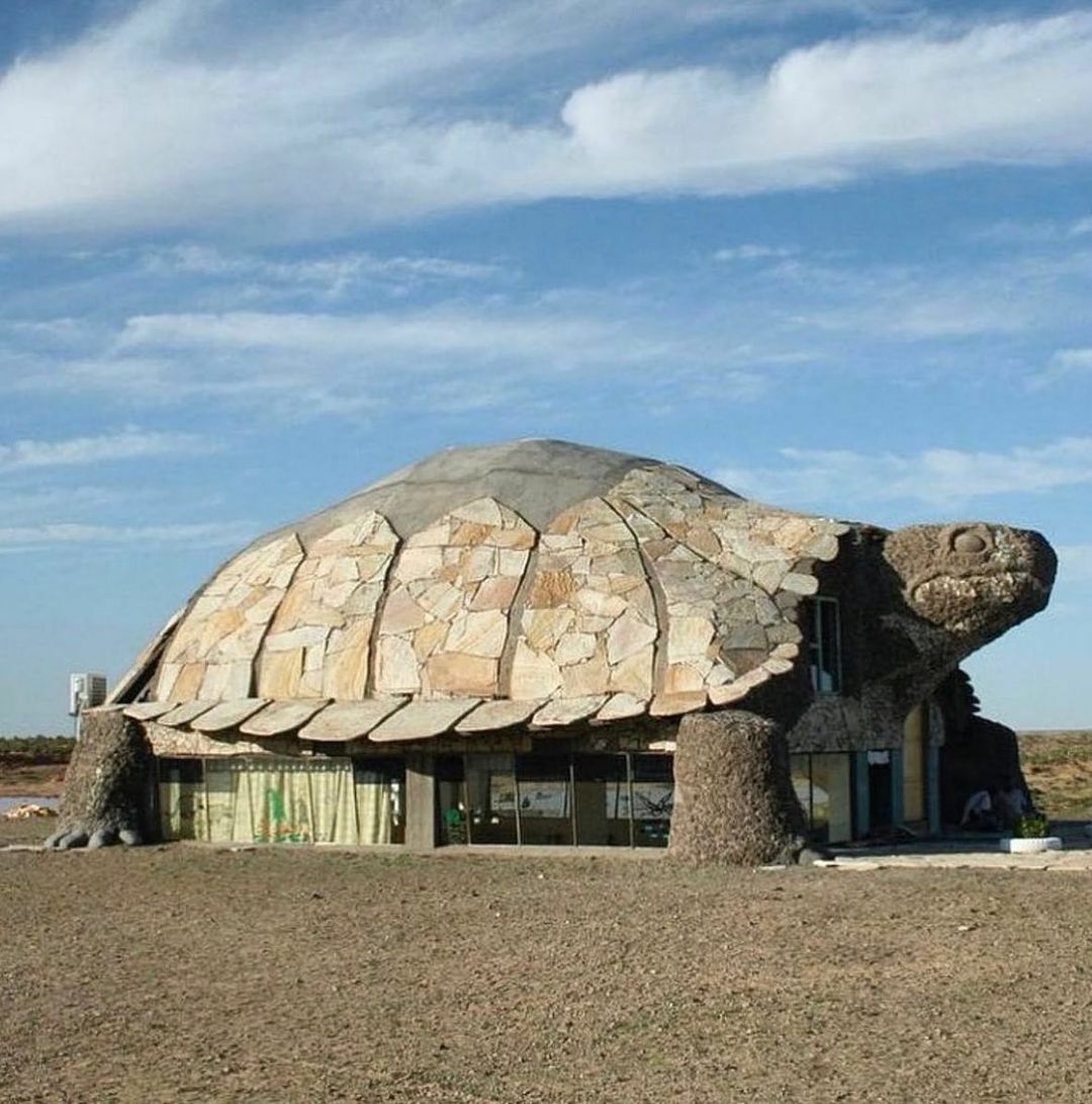 Bar en forme de tortue dans le désert. bayanzag, mongolie