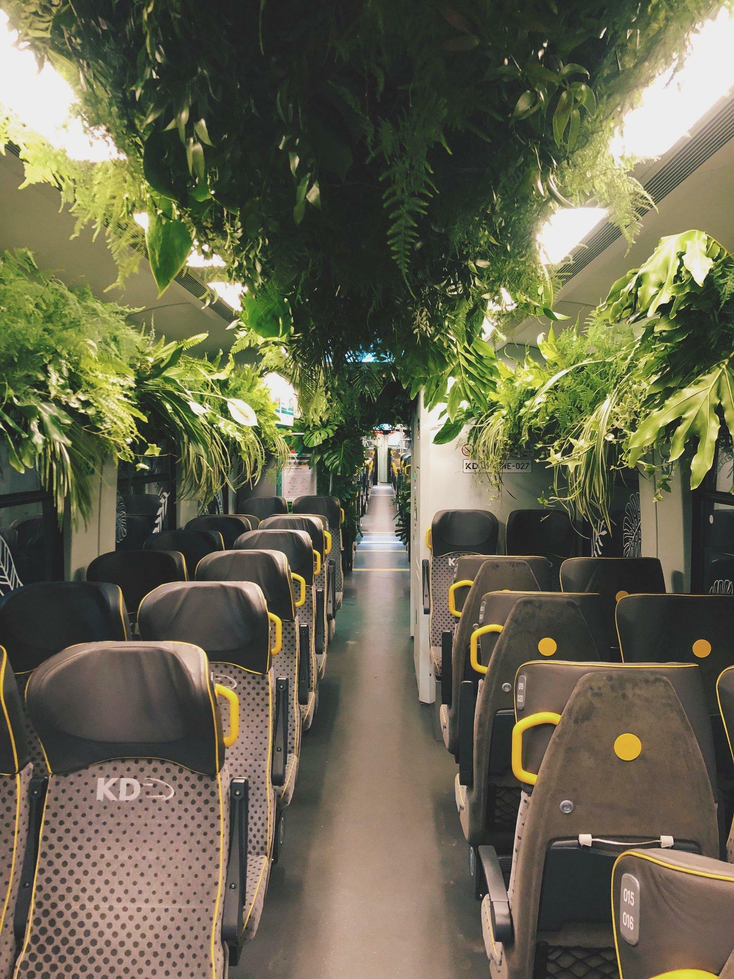 train vert en basse silésie, pologne