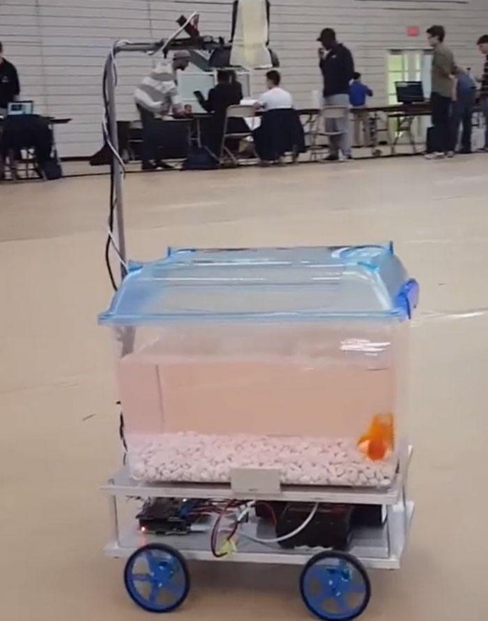 ce dispositif suit les mouvements du poisson rouge et se déplace dans la direction vers laquelle le poisson rouge nage.