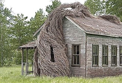 Les sculptures organiques de brindilles et de jeunes arbres de patrick dougherty