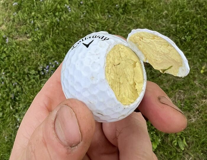 L’intérieur de cette balle de golf ressemble à un œuf dur.