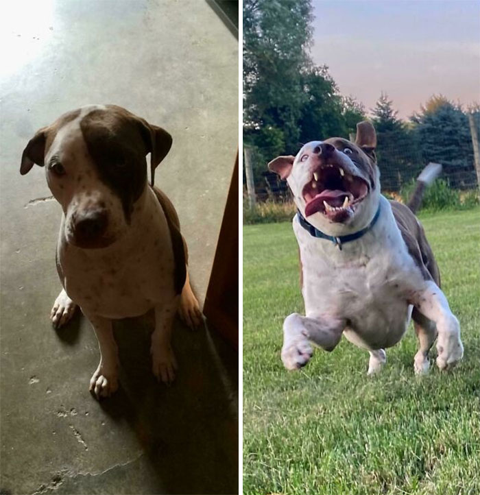 5 mois après l’adoption vs. 8 ans après l’adoption :)