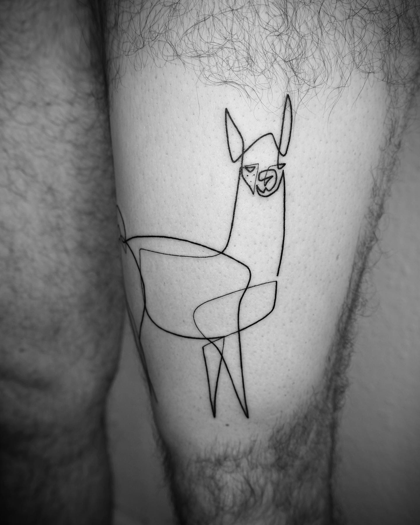 Cet artiste crée des tatouages captivants à l’aide d’une seule ligne (35 images)