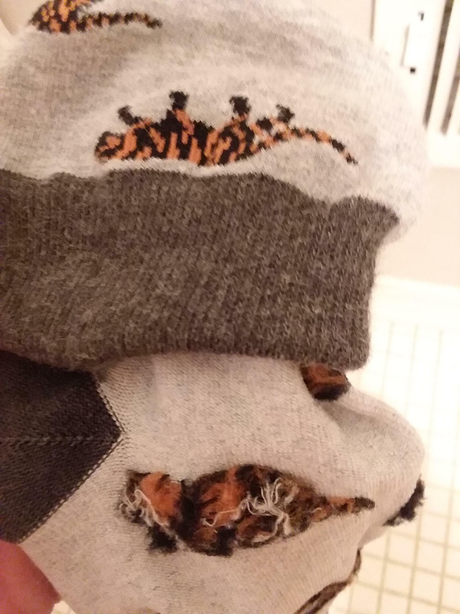 Les tigres sur ces chaussettes ressemblent à des chats domestiques lorsqu'ils sont retournés.