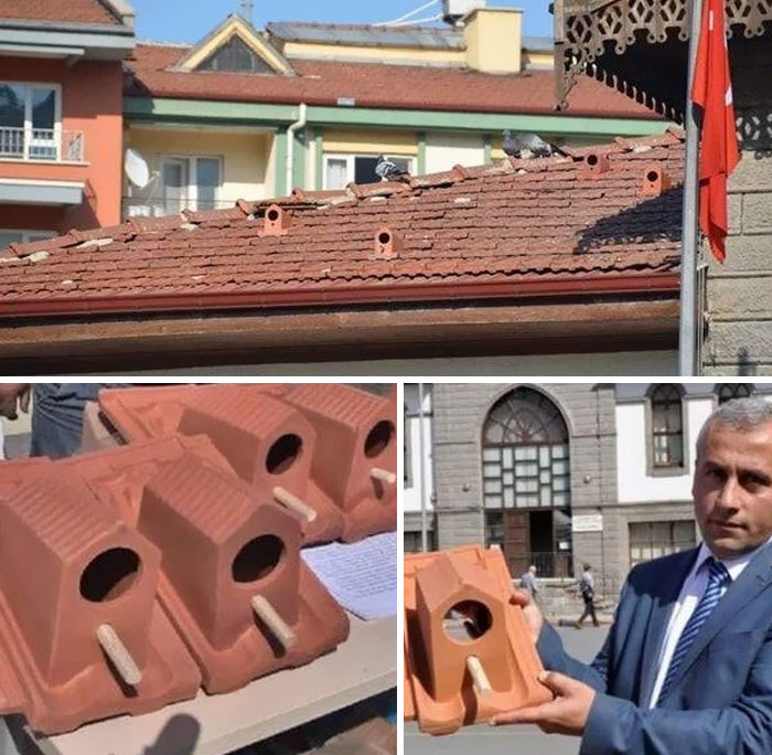 Une usine turque appelée “hitit terra” produit des tuiles qui offrent un abri aux oiseaux.