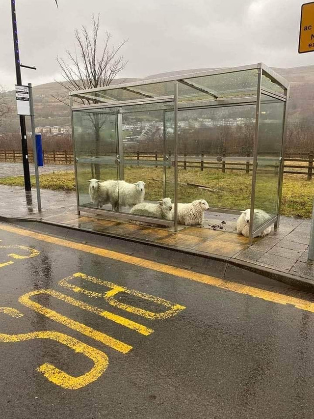 jour de pluie en irlande