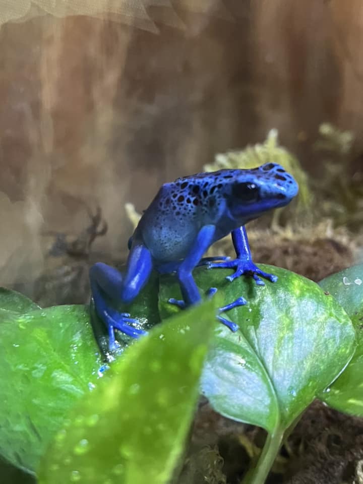 Tu es allée au zoo aujourd’hui et tu as vu ce précieux bébé !