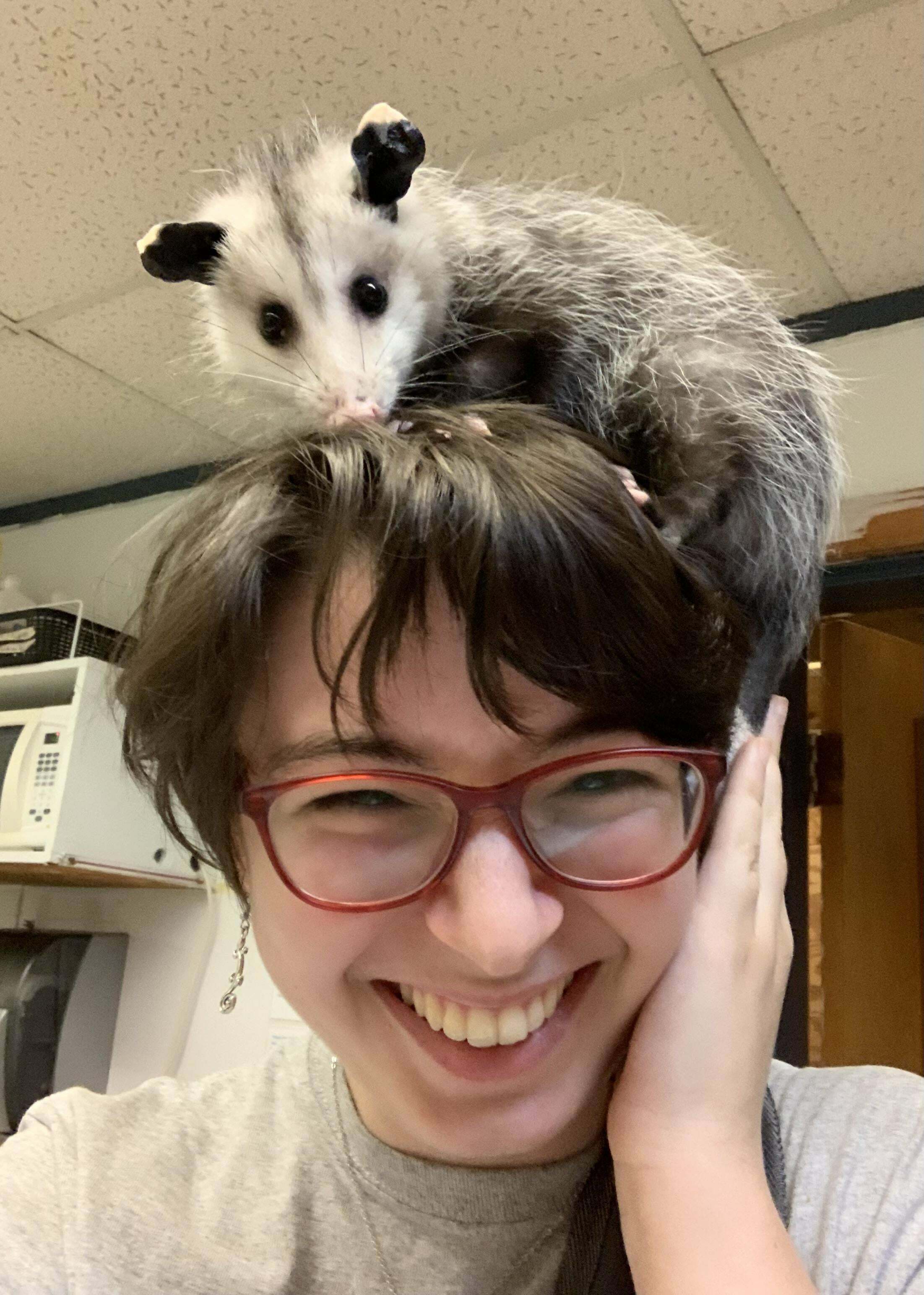 Comme tu peux sans doute le constater, je suis ravie de notre nouvel opossum au travail.