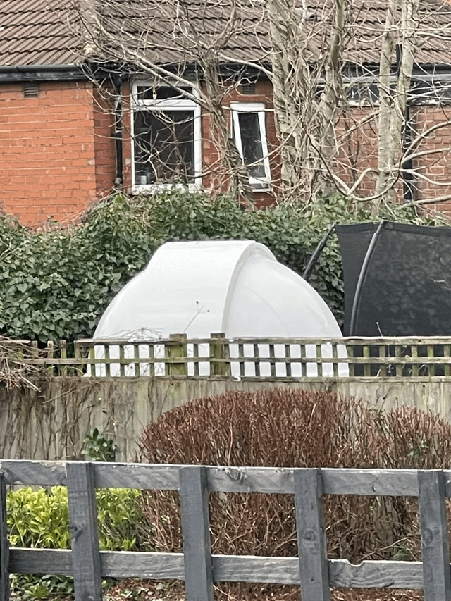 Qu’est-ce que c’est que cette grosse gousse blanche dans le jardin de mes voisins ?