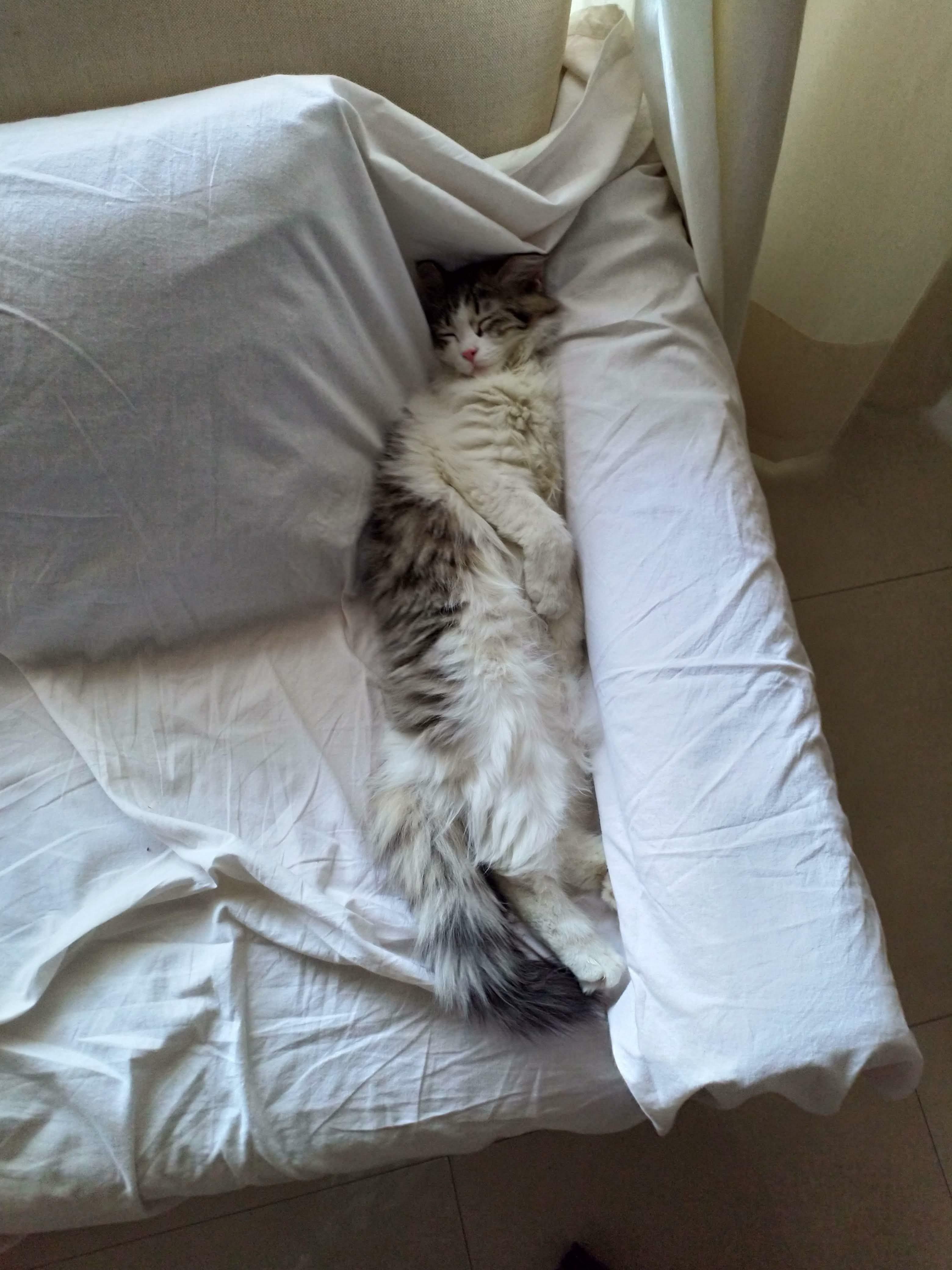 En quoi est-ce confortable ?