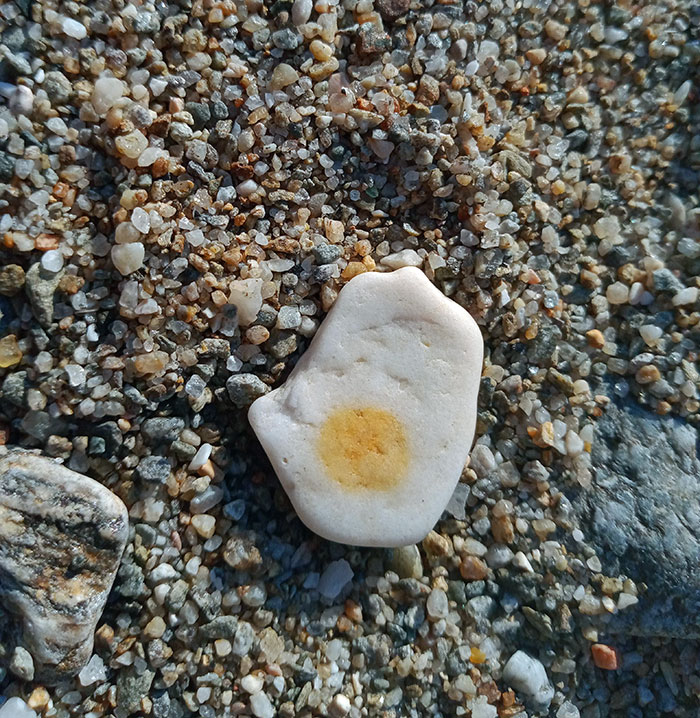 Ma copine a trouvé ce rocher sur la plage alors qu’elle lisait un livre. Il ressemble à un œuf.