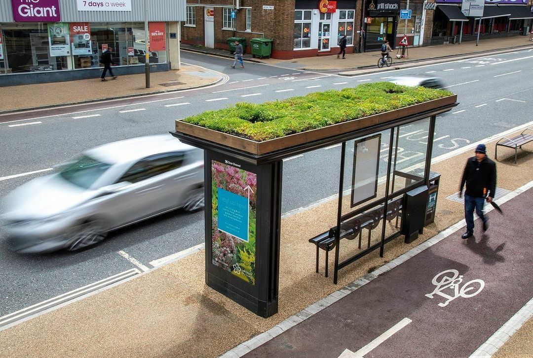 La ville de Leicester commence à transformer les arrêts de bus en “arrêts d’abeilles”.