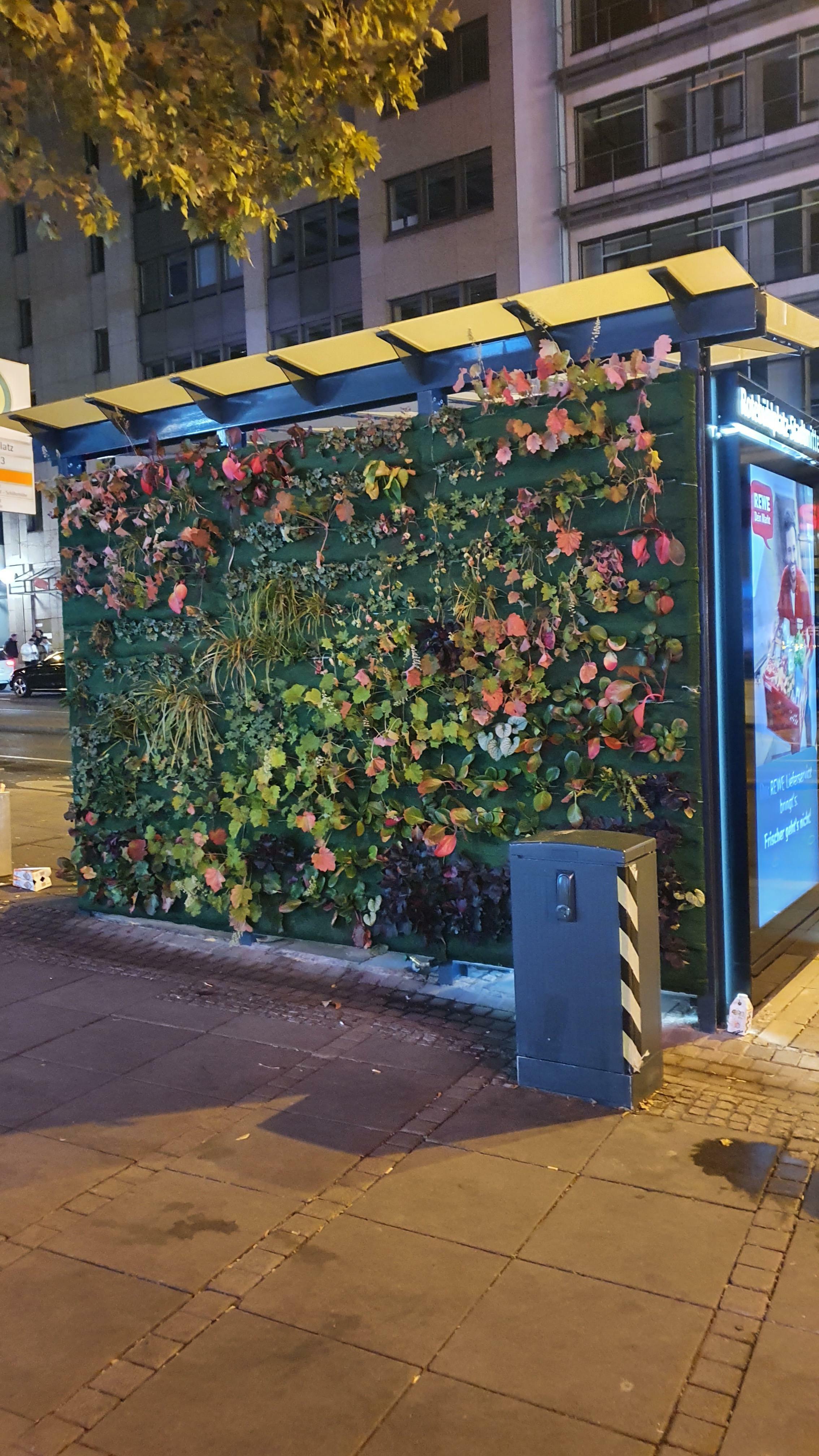 ces nouveaux et magnifiques arrêts de bus anti-pollution atmosphérique dans ma ville.