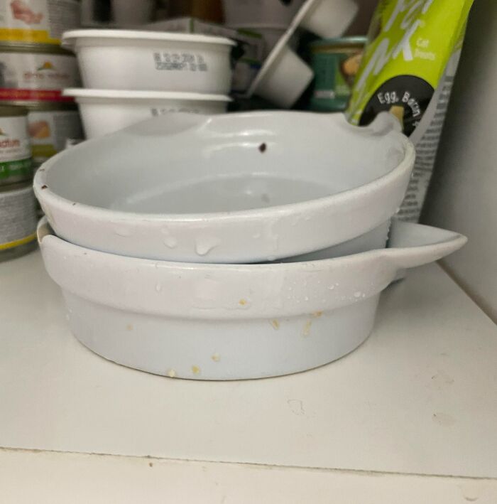 Ma sœur dit que les chats n’ont pas besoin de vaisselle propre et met les bols des chats dans l’armoire avec de gros morceaux de nourriture encore collés dessus.