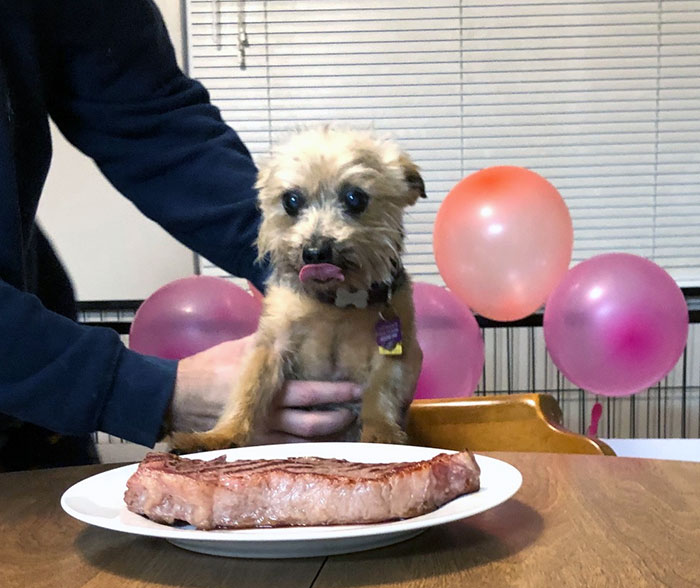 Annie fête ses 15 ans et reçoit un steak