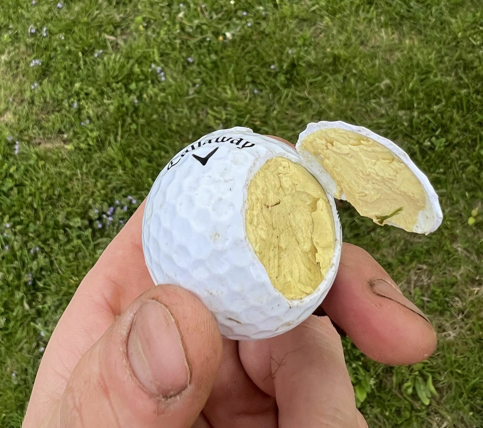 L’intérieur de cette balle de golf ressemble à un œuf dur.